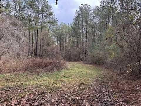 920a Auburn Dr, Bogue Chitto, MS 39629