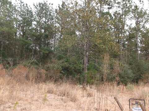 TBD Caston Road Lot #7, Mccomb, MS 39648
