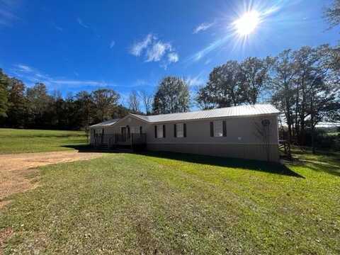 63 Springfield Trail, Bogue Chitto, MS 39629