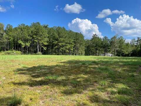 16 Old Hwy 35 S, Sandy Hook, MS 39478