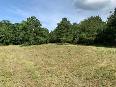 000 Mt Pleasant Ln SE, Bogue Chitto, MS 39629