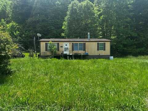 232 G I Brown Road, Cedar Bluff, VA 24609