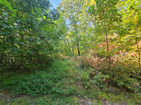 Lot 17 Fox Hollow Dr, Bastian, VA 24314