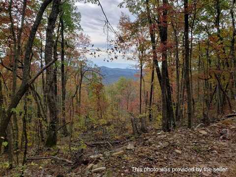 58 A Oneida Peak Rd, Tazewell, VA 24651