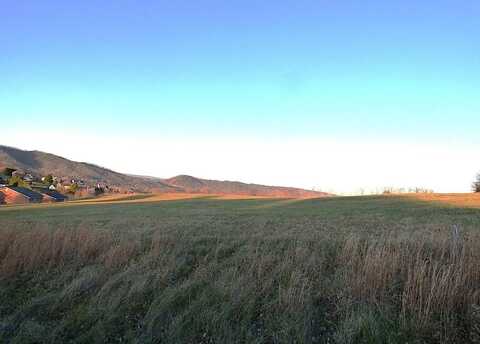 Tbd Lot 19 Asbury Ln, Wytheville, VA 24382