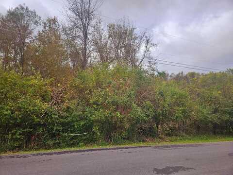 Tbd Deer Ridge Trail (#1), Tazewell, VA 24651