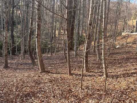 Tbd Brookside Tr, Fancy Gap, VA 24328