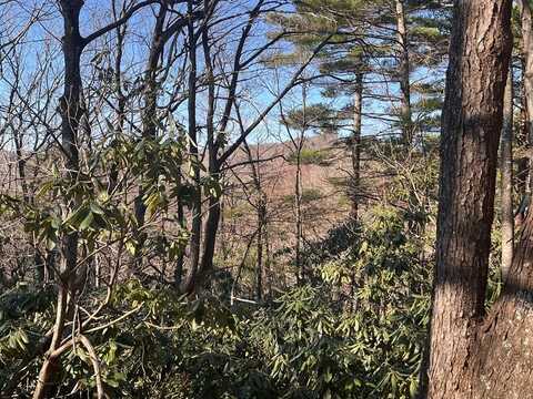 Tbd Rock Ledge Tr, Fancy Gap, VA 24328