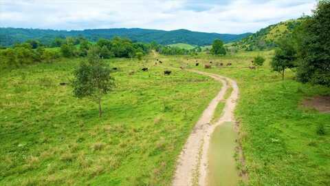 7267 Blue Grass Trail, Saltville, VA 24370