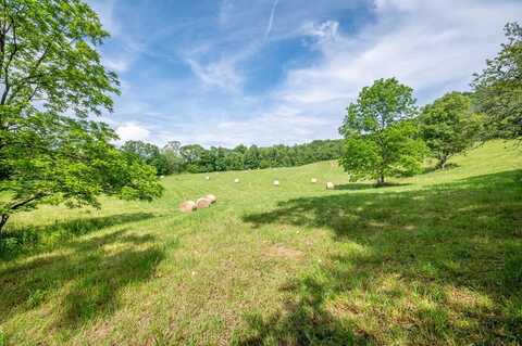 Tbd Crocketts Cove Rd, Wytheville, VA 24382