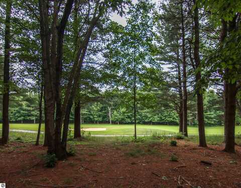 0000-Unit 40 Trailside Drive, Thompsonville, MI 49683