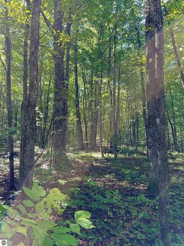 000 Woodland Drive NE, Kalkaska, MI 49646