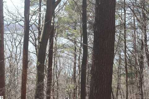 lot 5 Crystal View Commons, Beulah, MI 49617