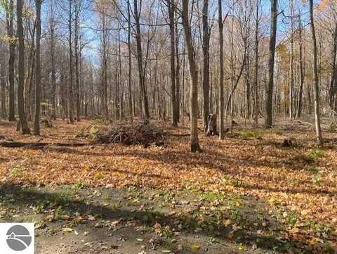 868 W 4 Road, Buckley, MI 49620