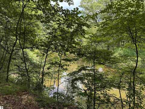 TBD River Run Trail, Mount Pleasant, MI 48858