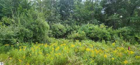 Parcel B River Road, Manistee, MI 49660