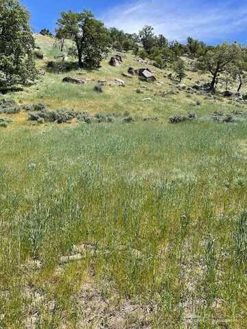 29520 Butterfield Way, Tehachapi, CA undefined