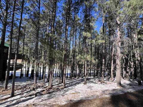 Lot 15 Champions Terrace, Angel Fire, NM 87710