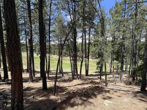 Lot 15 Champions Terrace, Angel Fire, NM 87710