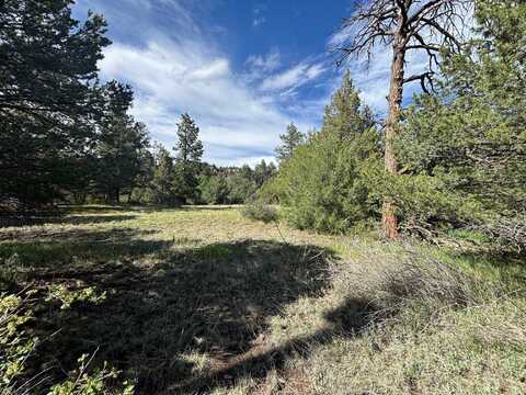 29655 HWY 64, Ute Park, NM 87749