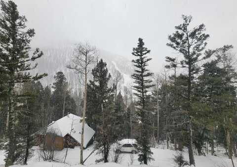 15 Coyote Lane, Taos Ski Valley, NM 87525