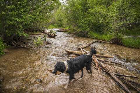 000 Deer Mesa, Valdez, NM 87580