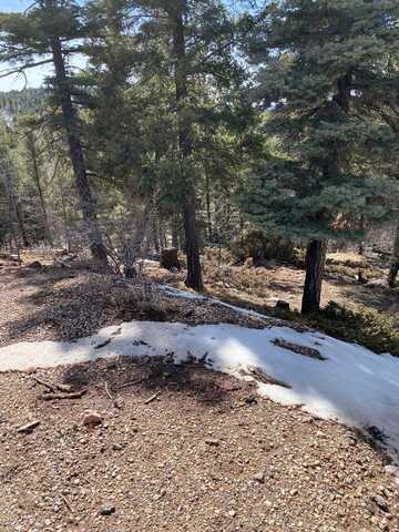 Lot 205 El Camino Real, Angel Fire, NM 87710