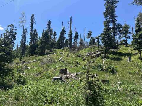Hidden Valley Rd, Red River, NM 87558
