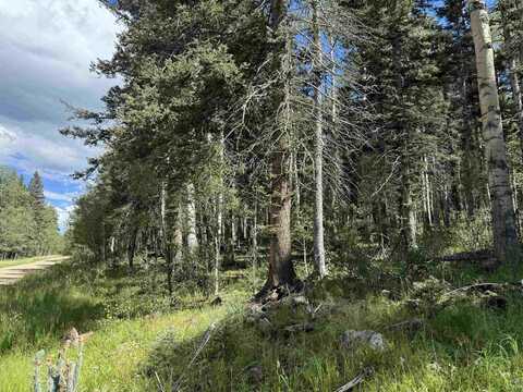 Lot 23 Elk Ridge Road, Angel Fire, NM 97710