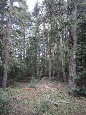 Lot 43 Happy Way, Angel Fire, NM 87710