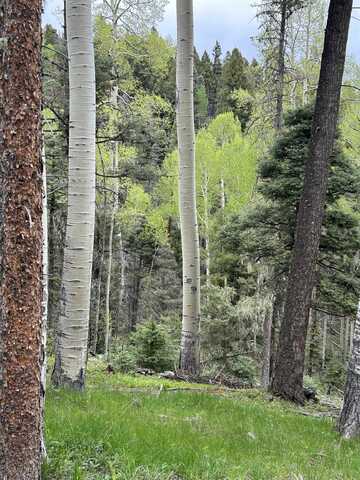 Lot 1419 Sacramento, Angel Fire, NM 87710