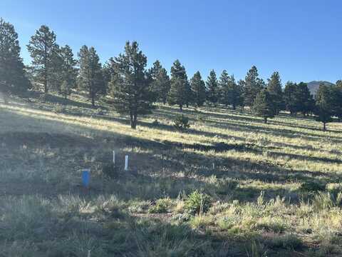 Lot 16 And 17 Saddleback Trail, Angel Fire, NM 87110