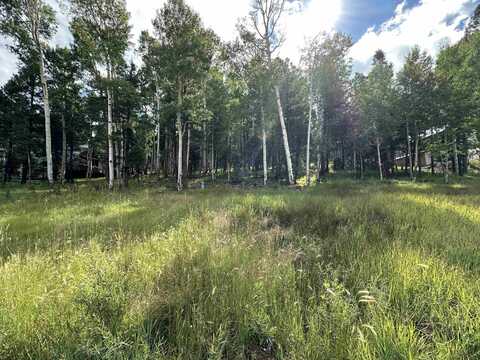 Lot 577 El Camino Real, Angel Fire, NM 87710