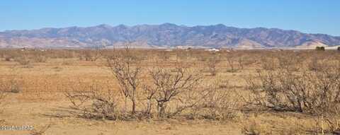 TBD 40 acres Tyree Rd, Pearce, AZ 85625