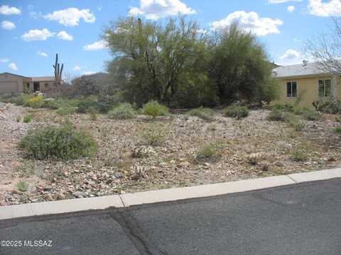 3371 S Feldspar Avenue, Tucson, AZ 85735