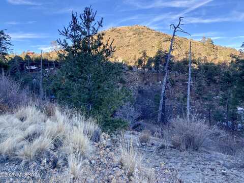12955 N Phoenix Avenue, Tucson, AZ 85619