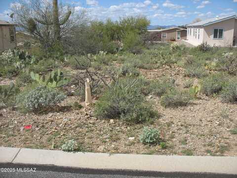 3372 S Spectrum Avenue, Tucson, AZ 85735