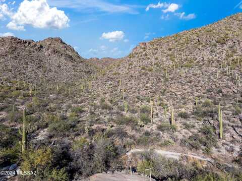 13768 N Cactus Valley Court, Marana, AZ 85658