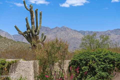 7211 E River Canyon Way, Tucson, AZ 85750