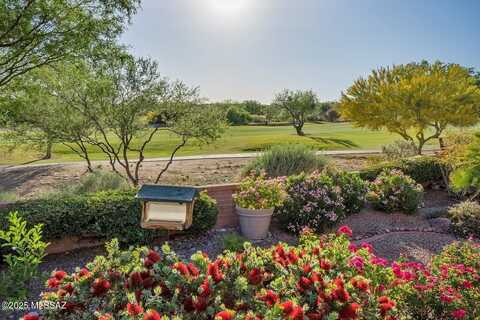 2132 E Bighorn Mountain Drive, Oro Valley, AZ 85755