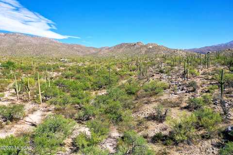 2510 N Avenida Sorgo, Tucson, AZ 85749