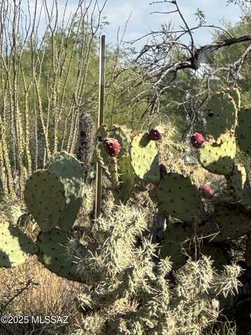 12721 S Cherokee Lane, Tucson, AZ 85736