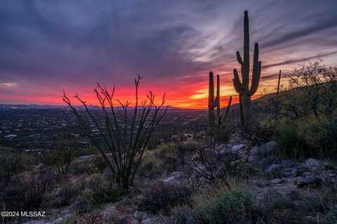 12979 E Cabeza De Vaca, Tucson, AZ 85749