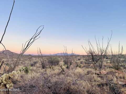 7377 W Bucking Horse Road, Sahuarita, AZ 85629