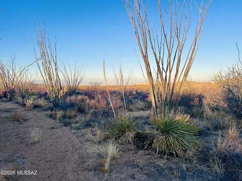 7377 W Bucking Horse Road, Sahuarita, AZ 85629