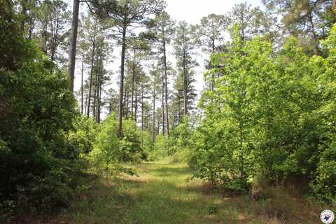 201 NEVADA 25, Bodcaw, AR 71858