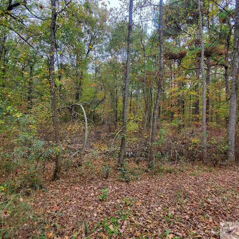 60.50 PR 1102, Fouke, AR 71837
