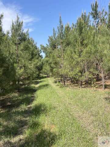 TBD Miller County 6, Doddridge, AR 71834
