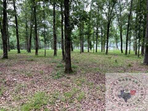 000 S Eagle's Way South, Bradley, AR 71845