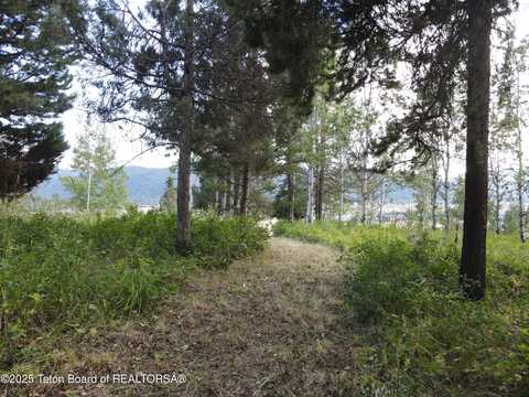 Lot 4 PINE Street, Alpine, WY 83128